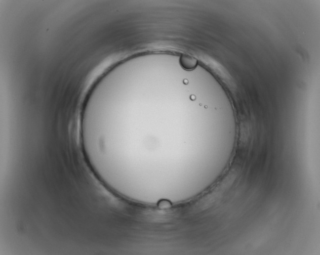 X0000113851286200910081638