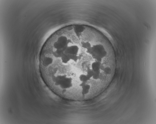 X0000113851287200910081638