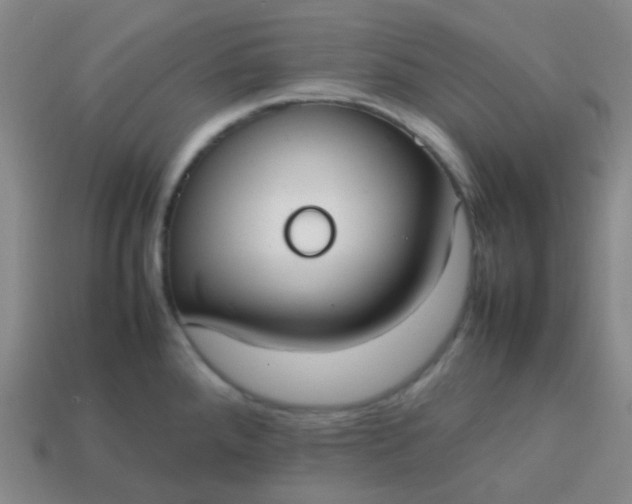 X0000113851288200910081638