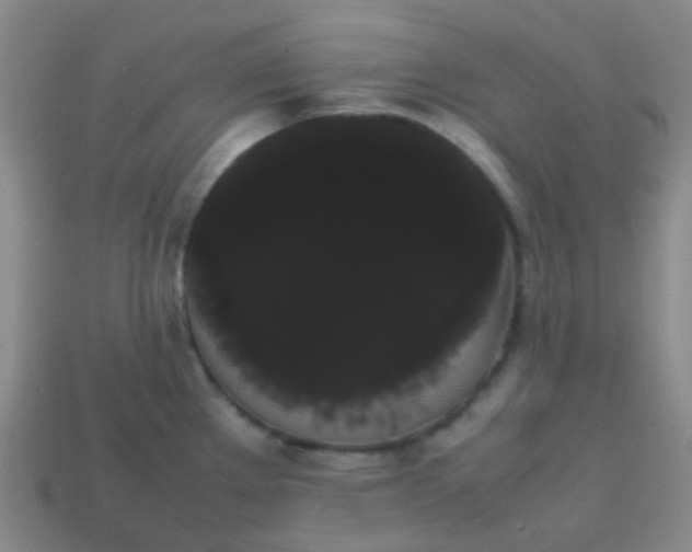 X0000113851289200910081638