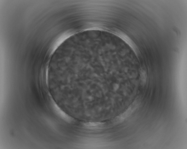 X0000113851290200910081638