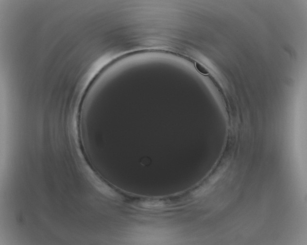 X0000113851291200910081638