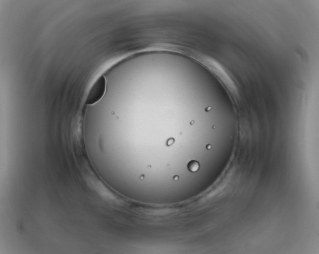 X0000113851292200910081638