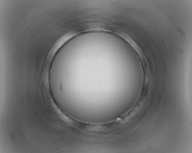 X0000113851293200910081638