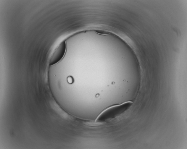 X0000113851296200910081638