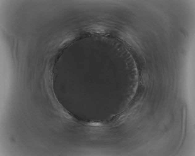 X0000113851297200910081637