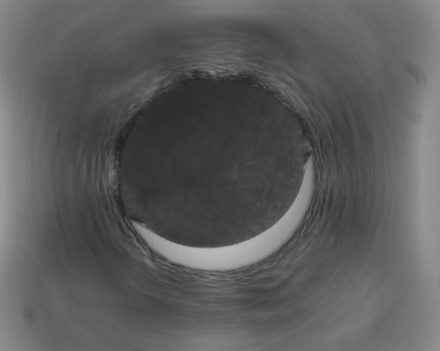 X0000113851298200910081637