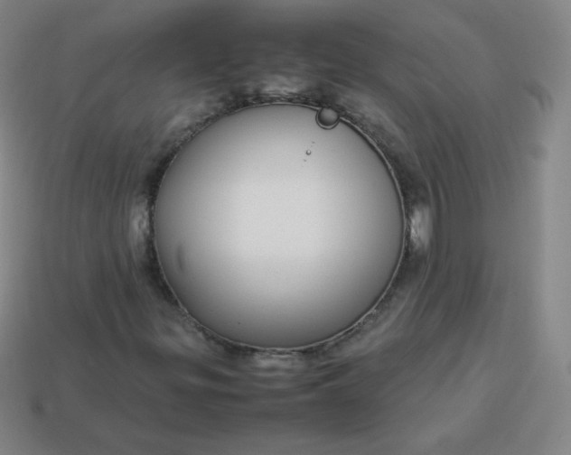 X0000113851299200910081637