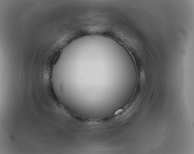 X0000113851300200910081637