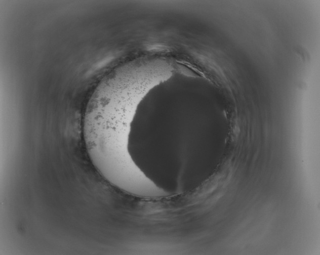 X0000113851301200910081637