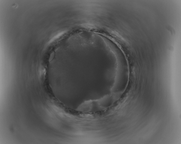 X0000113851302200910081637