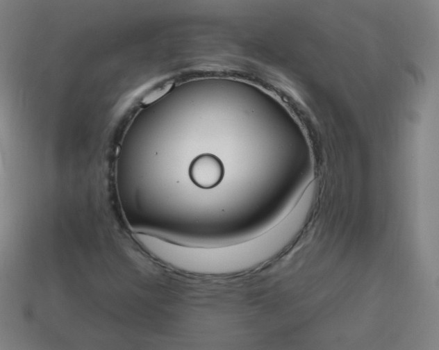 X0000113851304200910081637