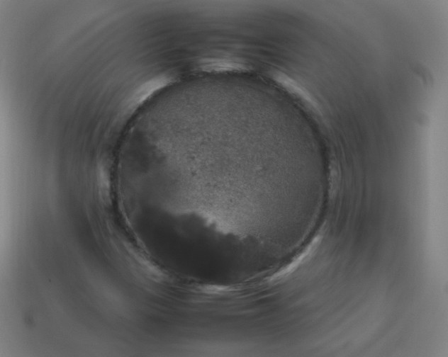 X0000113851305200910081637