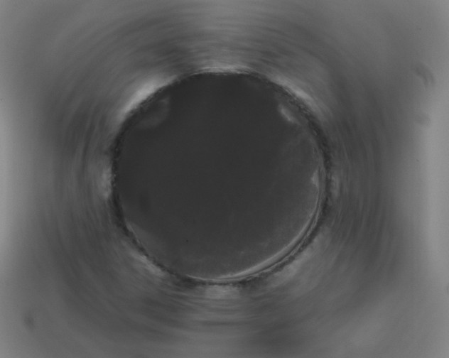 X0000113851306200910081637