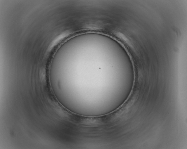 X0000113851307200910081637