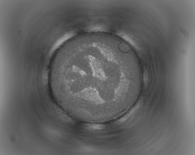 X0000113851309200910081637