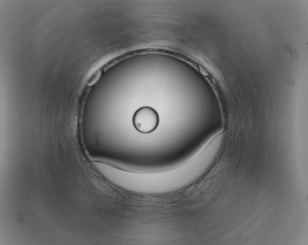 X0000113851316200910081637