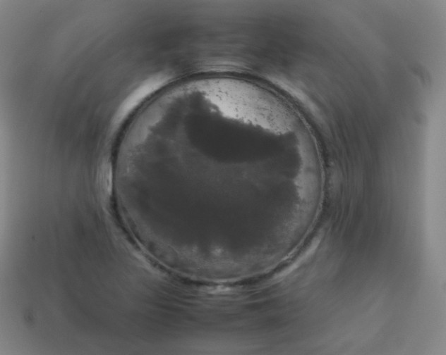 X0000113851317200910081637