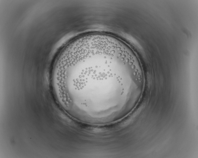 X0000113851318200910081637