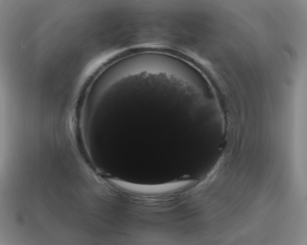 X0000113851319200910081637