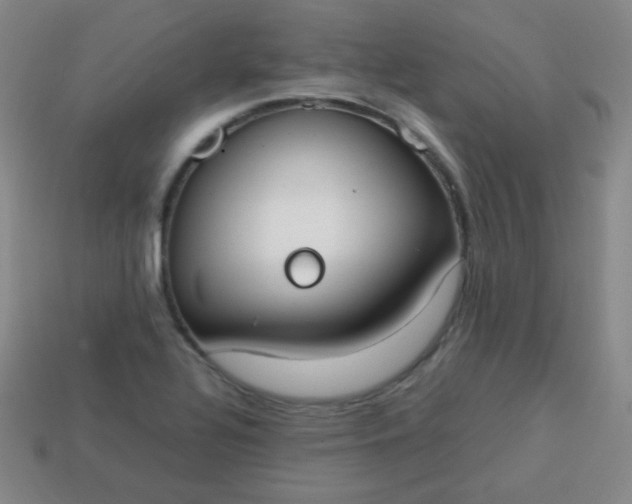 X0000113851320200910081637