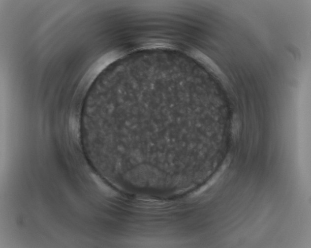 X0000113851321200910081638