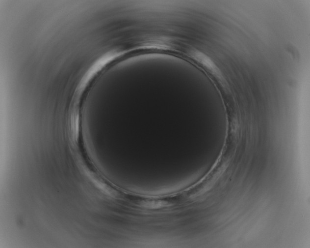 X0000113851323200910081638