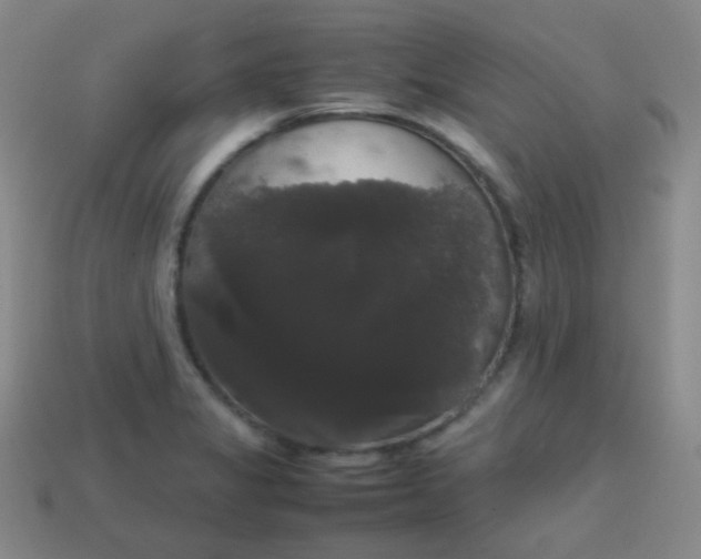 X0000113851325200910081638