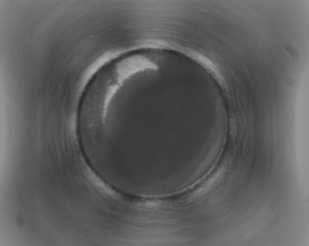 X0000113851326200910081638