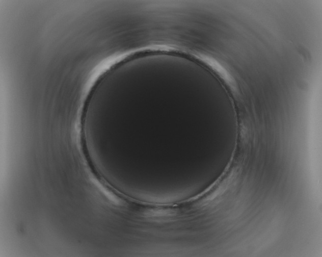 X0000113851327200910081638