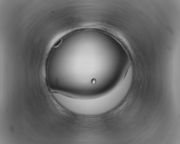 X0000113851328200910081638