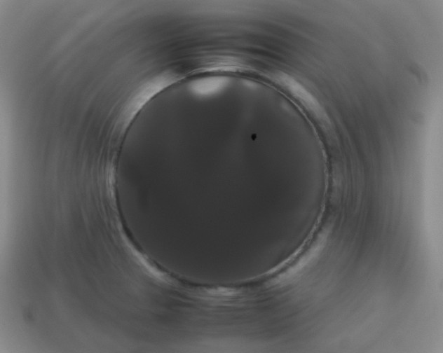 X0000113851329200910081638