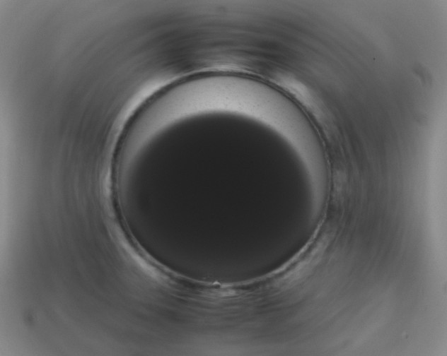 X0000113851331200910081638