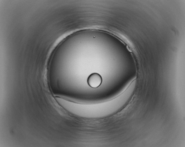 X0000113851332200910081638