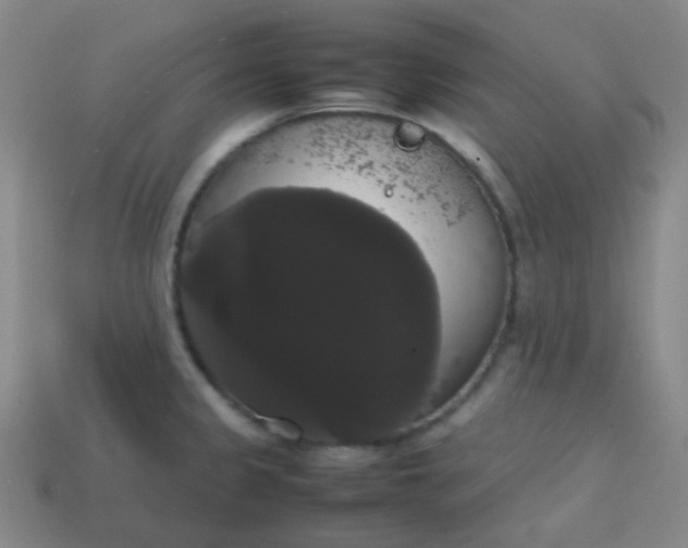 X0000113851333200910081638