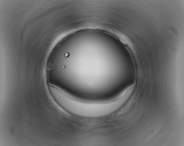 X0000113851334200910081638