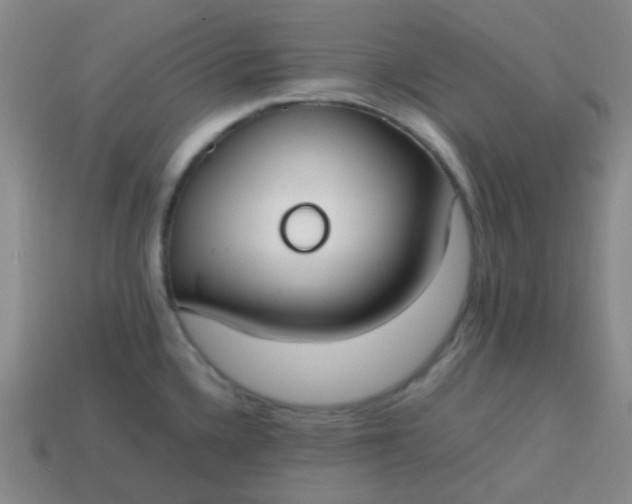 X0000113851336200910081638