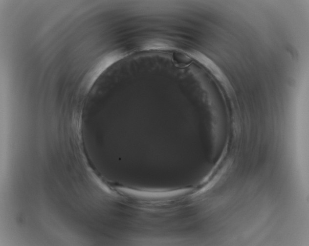 X0000113851337200910081638