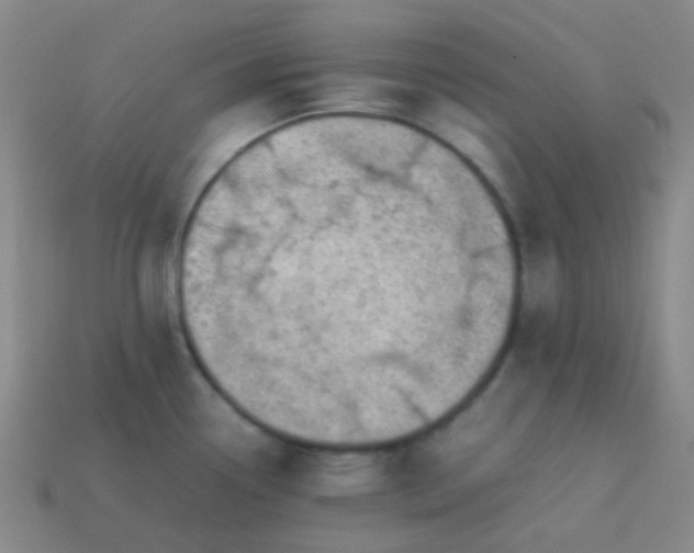 X0000113851338200910081638