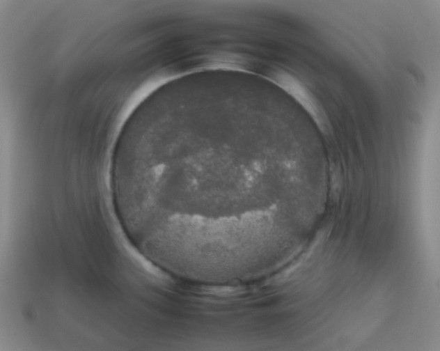 X0000113851339200910081638