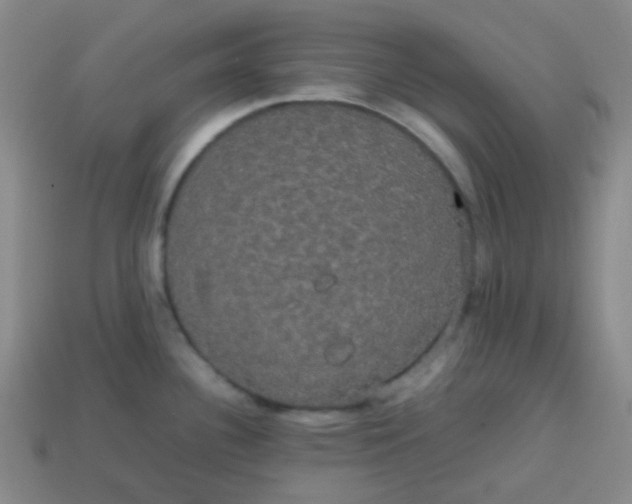 X0000113851340200910081638