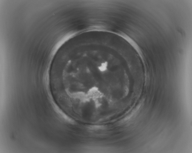 X0000113851341200910081638