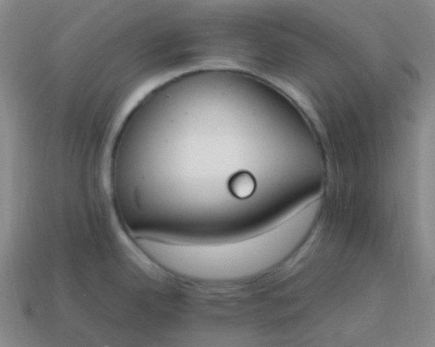 X0000113851342200910081638