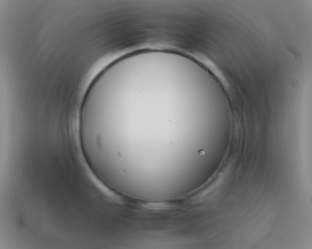 X0000113851343200910081638