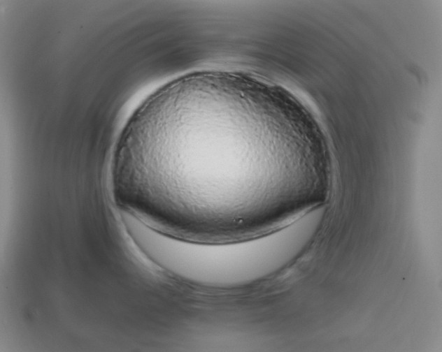 X0000113851344200910081638