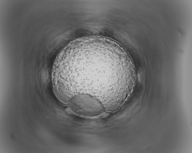 X0000113851347200910081637