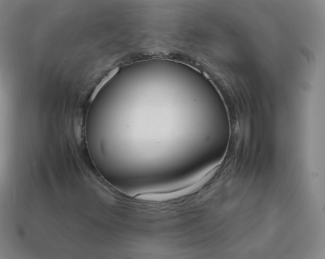 X0000113851348200910081637