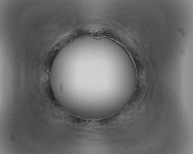 X0000113851349200910081637