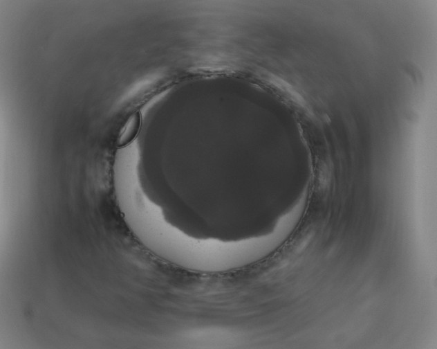 X0000113851350200910081637