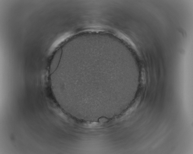 X0000113851352200910081637